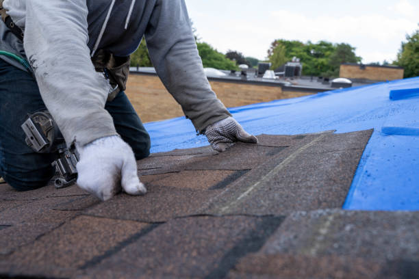 Best Roof Leak Repair  in Dell Rapids, SD