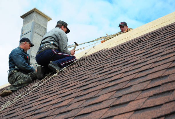 Best Roof Waterproofing Services  in Dell Rapids, SD