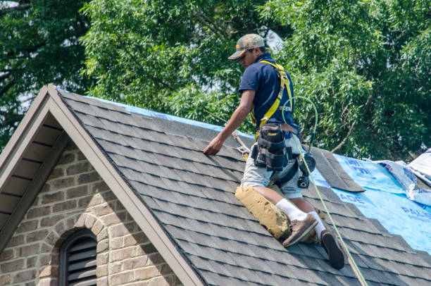 Best New Roof Installation  in Dell Rapids, SD
